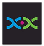 yaxxa